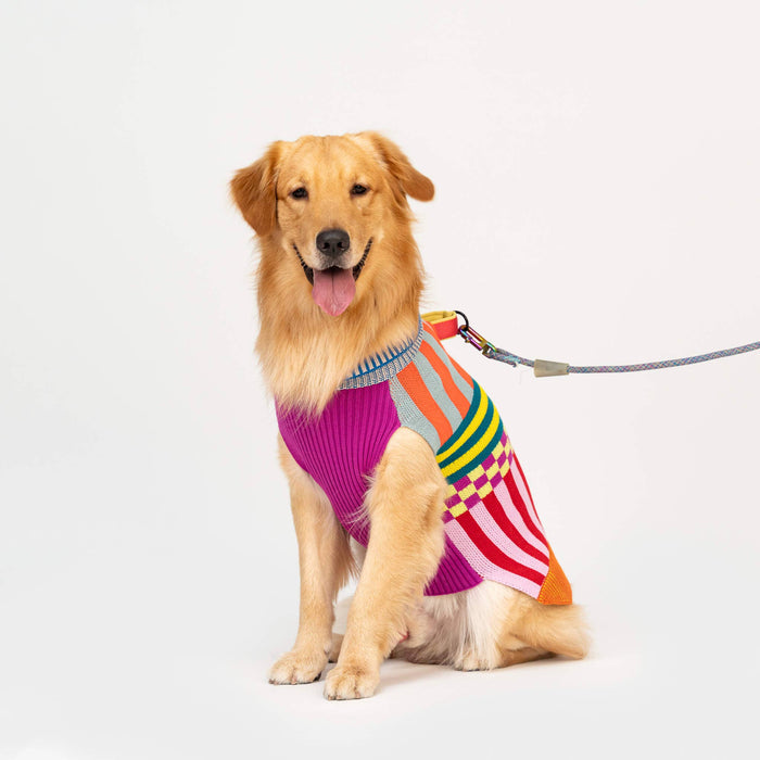 Pattern Patch Dog Sweater: Rainbow / L - 27-40 lbsPuffers, Hoodies, CoatsFound My Animal