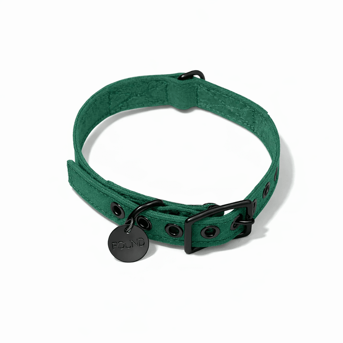 Pine Waxed Cotton Canvas Cat & Dog Collar – Matte Black HardwareDog CollarsFound My AnimalXS