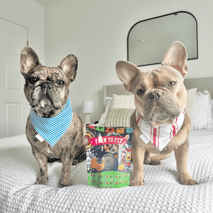 Premios Para Perros Fiesta Pack | Dog Treat Variety BundleDog TreatsFound My Animal