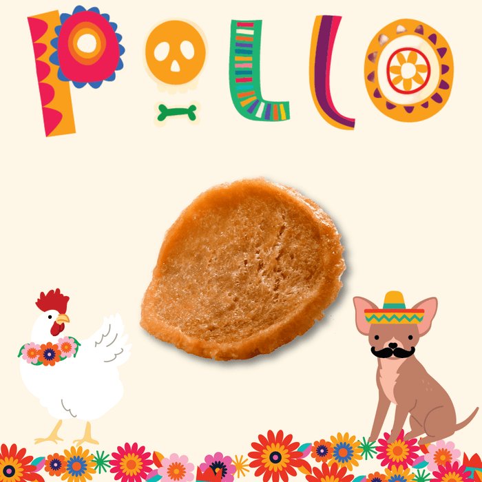 Premios Para Perros Fiesta Pack | Dog Treat Variety BundleDog TreatsFound My Animal