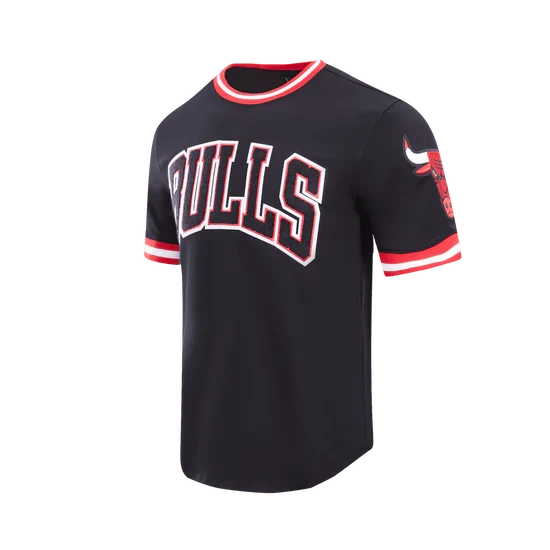 PRO STANDARD CHICAGO BULLS (BLACK) CLASSIC CHENILLE STRIPE TEE