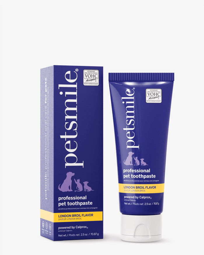 Professional Pet Toothpaste - London Broil Flavor - SmallWellnessFound My Animal