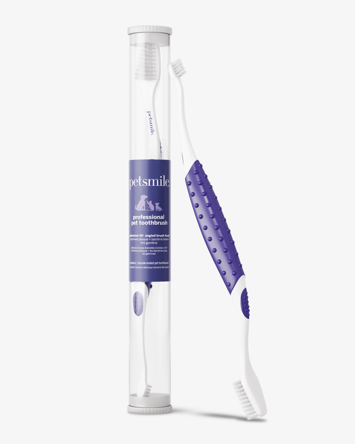 Professional Toothpaste London Broil Large & Professional Pet ToothbrushWellnessFound My Animal