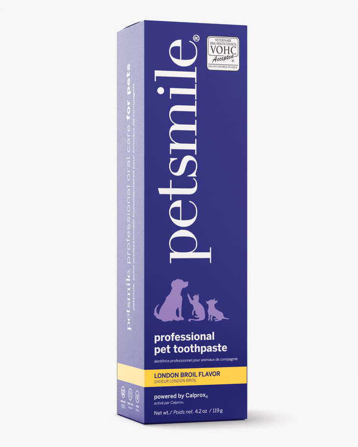 Professional Toothpaste London Broil Large & Professional Pet ToothbrushWellnessFound My Animal