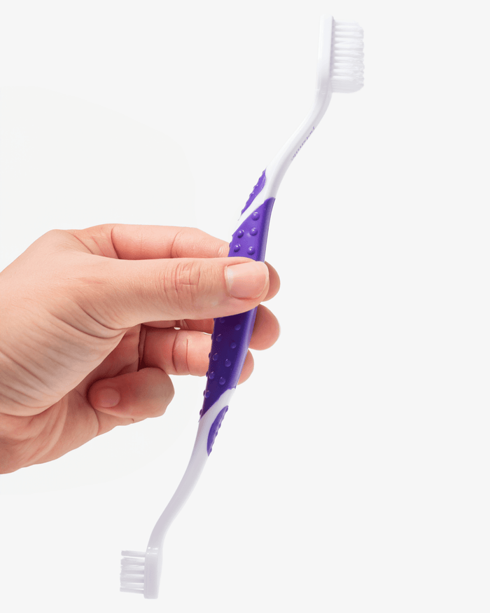 Professional Toothpaste London Broil Large & Professional Pet ToothbrushWellnessFound My Animal