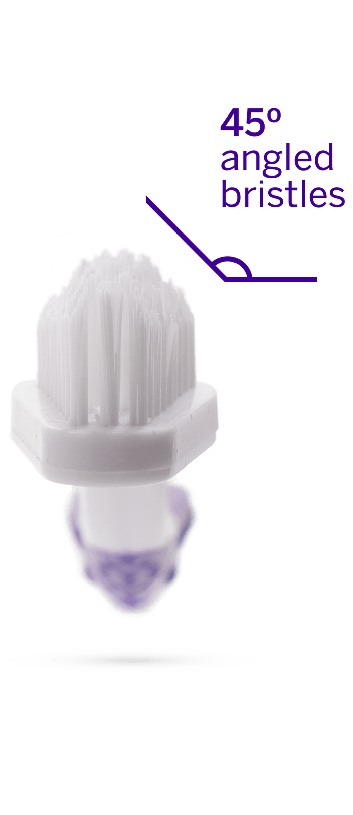 Professional Toothpaste Rotisserie Chicken Large & Professional Pet ToothbrushWellnessFound My Animal