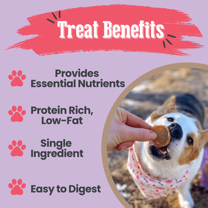 Puppy Love Dog Treat | Poultry Treat Variety PackDog TreatsFound My AnimalChicken & Turkey Duo