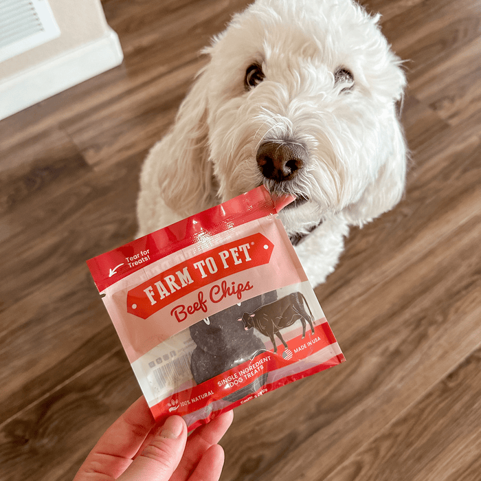 Puppy Packs 'n Snacks Dog Treat Starter Pack | Single-Ingredient Training TreatsDog TreatsFound My AnimalChicken 4oz + 1 Beef & 1 Turkey & 1 Fish Snack Pack