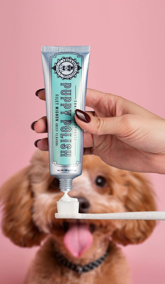 Puppy Polish Toothpaste - Filet Mignon (Beef)WellnessFound My Animal