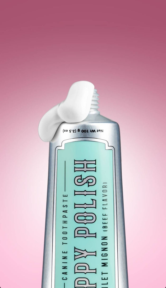 Puppy Polish Toothpaste - Filet Mignon (Beef)WellnessFound My Animal