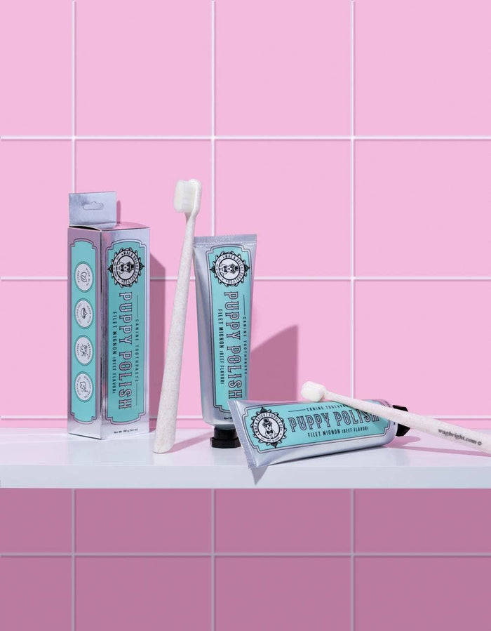 Puppy Polish Toothpaste - Filet Mignon (Beef)WellnessFound My Animal