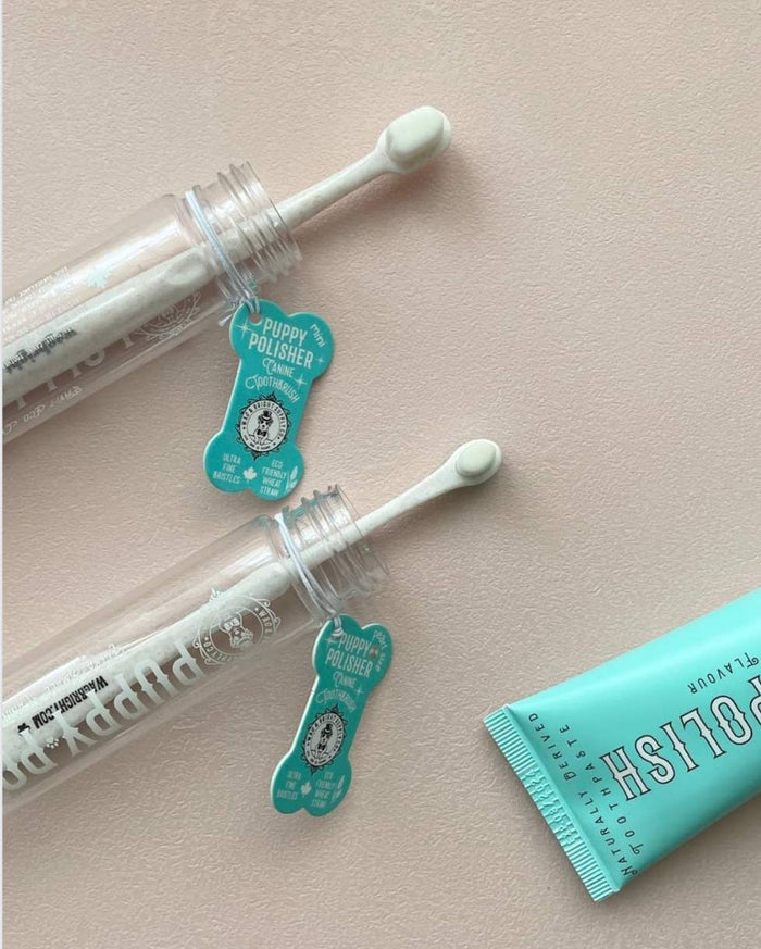 Puppy Polisher Eco Toothbrush - (Medium)WellnessFound My Animal