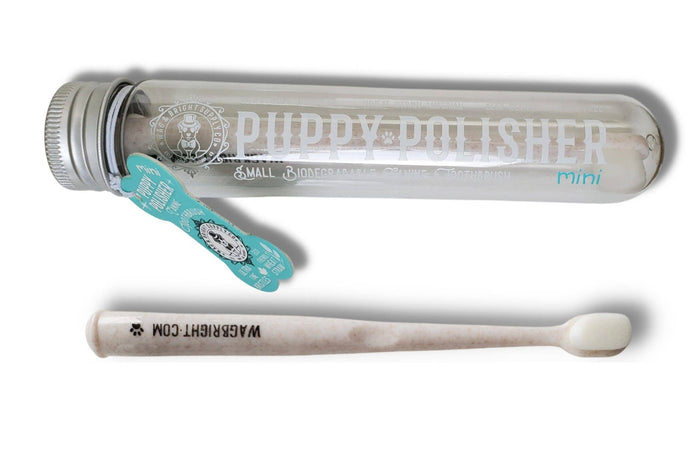 Puppy Polisher Mini Eco Toothbrush (Small)WellnessFound My Animal