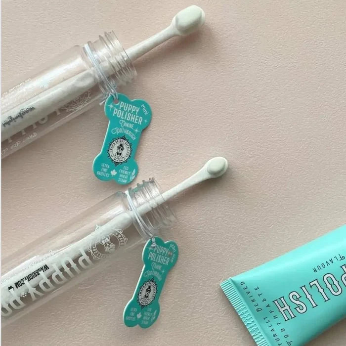 Puppy Polisher Pearl Eco Toothbrush - (Extra Small)WellnessFound My Animal