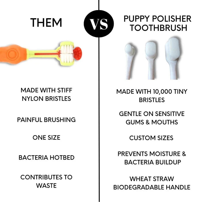 Puppy Polisher Pearl Eco Toothbrush - (Extra Small)WellnessFound My Animal