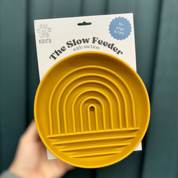 Rainbow Silicone Slow Feeder Lick Mat with Suction blueDog BowlsFound My Animal