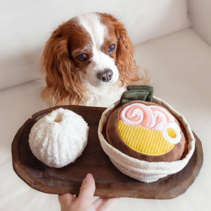 RAMEN // ENRICHMENT DOG TOY // Squeaky + Snuffle ToyToysFound My Animal
