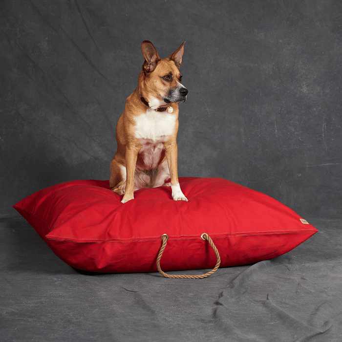 Red Washable Velvet Dog BedDog BedsFound My AnimalM