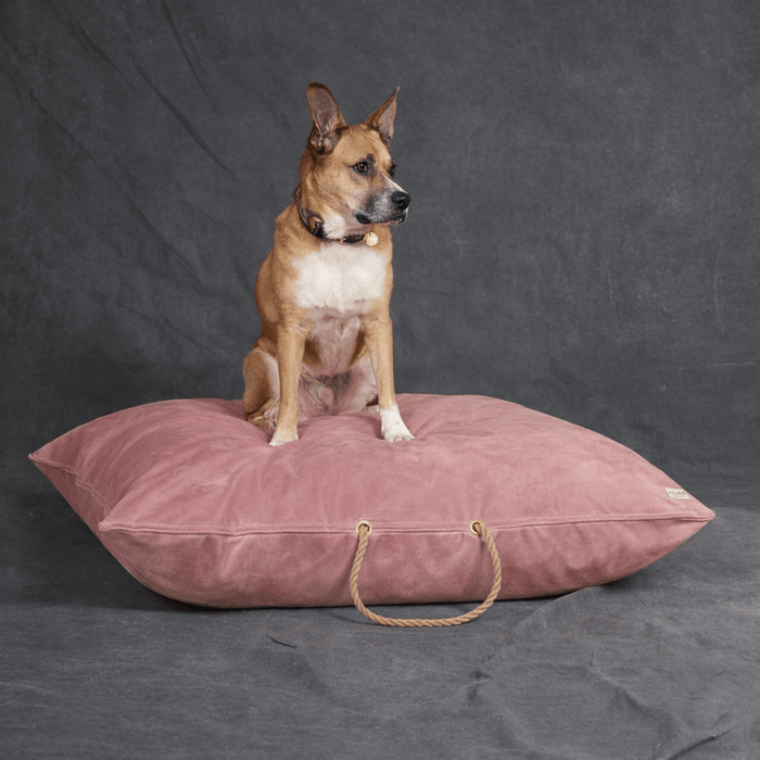 Rose Washable Velvet Dog BedDog BedsFound My AnimalM