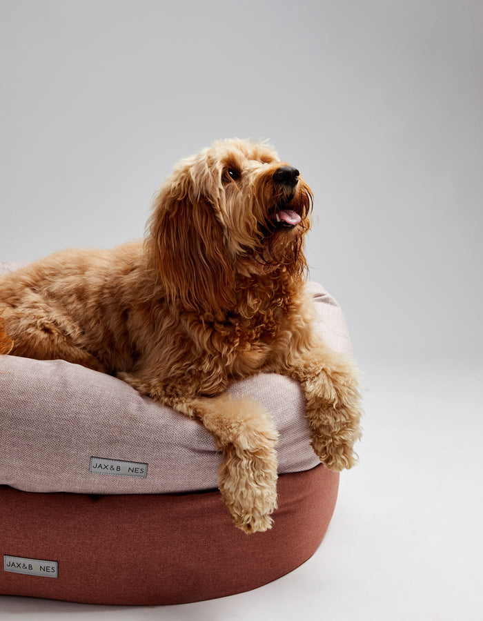 Rosebud Donut BedDog BedsFound My AnimalSmall