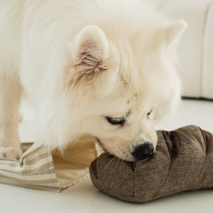 RYE //ENRICHMENT DOG TOYToysFound My Animal