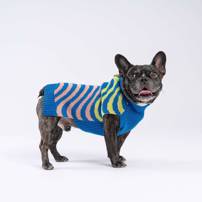 SALE Sound Wave Dog SweaterFound My AnimalGolden Olive Flame