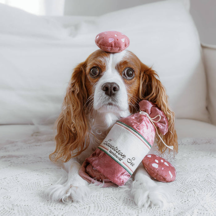 SAUCISSON SEC//ENRICHMENT DOG TOYToysFound My Animal