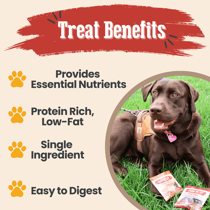 Snack Pack Dog Treat SamplerDog TreatsFound My Animal4 Pack