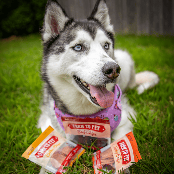 Snack Pack Dog Treat SamplerDog TreatsFound My Animal4 Pack