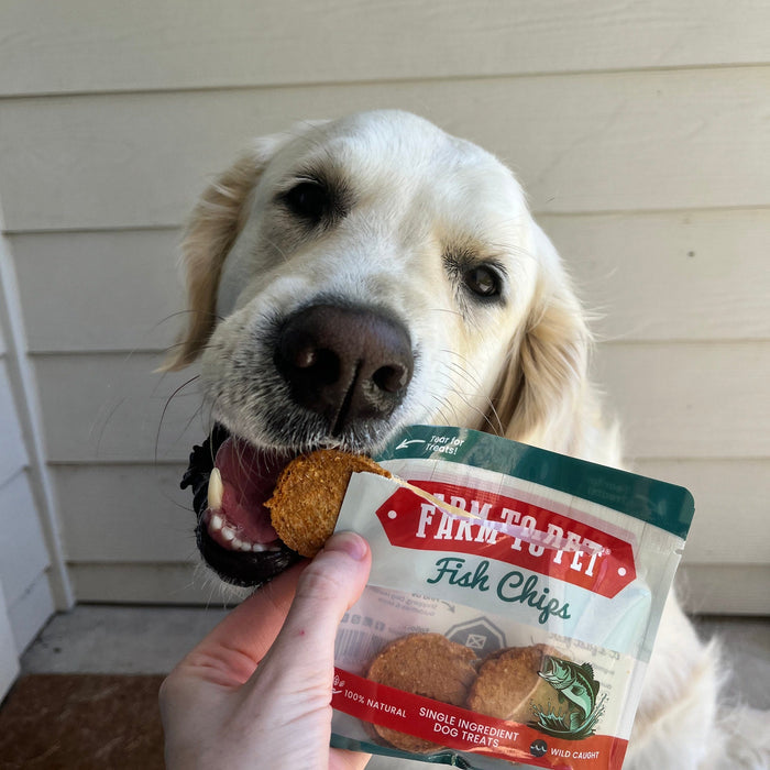 Snack Pack Dog Treat SamplerDog TreatsFound My Animal4 Pack