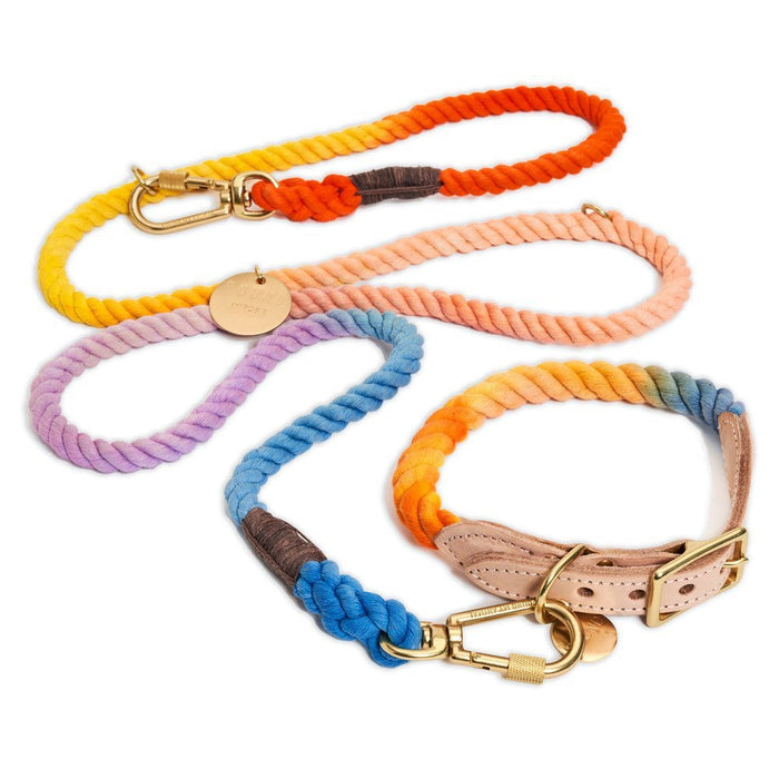 Soleil Cotton Rope Dog Leash by Found My Animal | Adjustable & HandcraftedShop LeashesFound My AnimalS