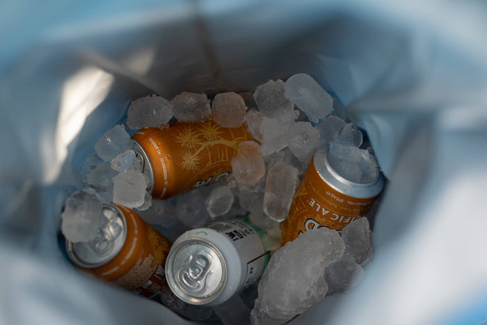 Beer cans surrounded by ice in open recycled cooler backpack