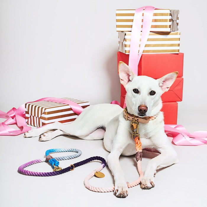 The Lois Ombre Cotton Rope Dog Leash, Adjustable | Found My AnimalShop LeashesFound My AnimalS