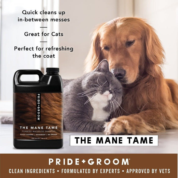 THE MANE TAMEWellnessFound My Animal