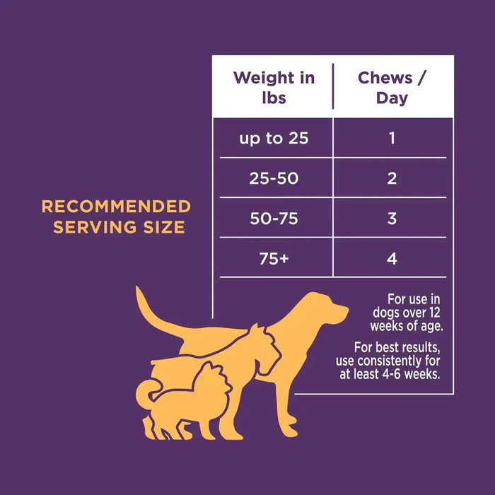 The Only Multivitamin Soft Chews Dogs NeedWellnessFound My Animal