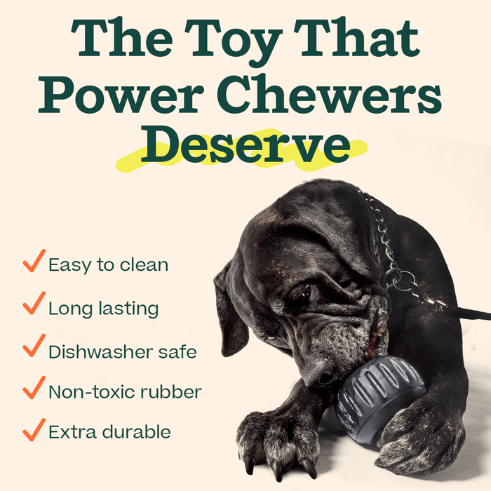 The 'Power Chewer' PupsicleDog TreatsFound My AnimalSmall