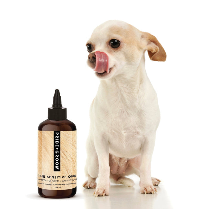 THE SENSITIVE ONEWellnessFound My Animal1 Gallon