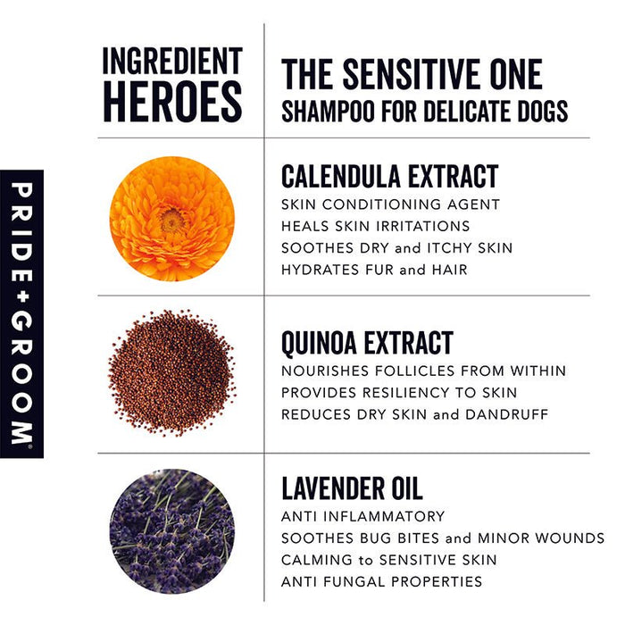 THE SENSITIVE ONEWellnessFound My Animal1 Gallon