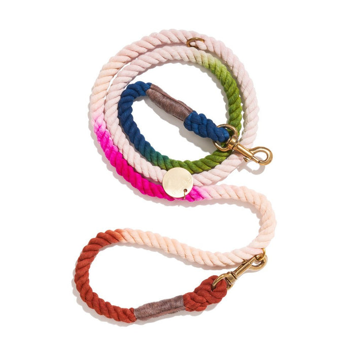 The Spring Bouquet Cotton Rope Dog Leash | Bolt Snaps, Adjustable | Found my AnimalShop LeashesFound My AnimalS