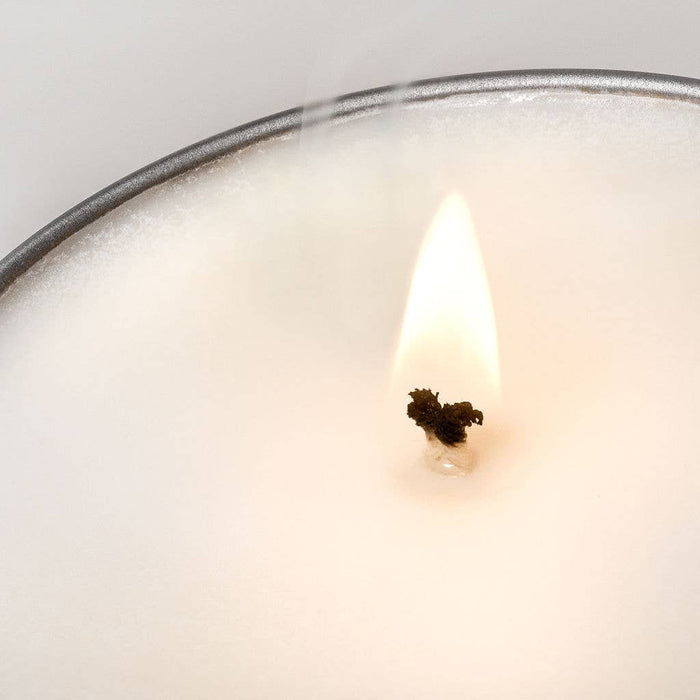 Tomato Leaf Soy Wax CandleFarm ShopFound My Animal