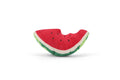 Tropical Paradise_Wagging WatermelonToysFound My Animal