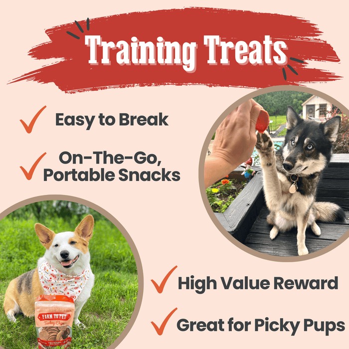 Turkey Chips for Dogs | All-Natural Single-Ingredient Healthy Dog TreatsDog TreatsFound My AnimalStandard 4oz
