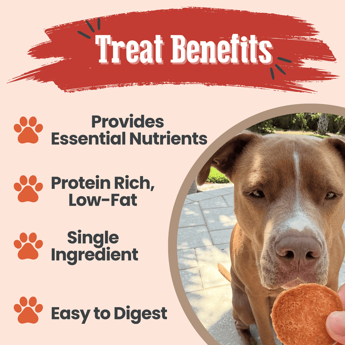 Turkey Chips for Dogs | All-Natural Single-Ingredient Healthy Dog TreatsDog TreatsFound My AnimalStandard 4oz