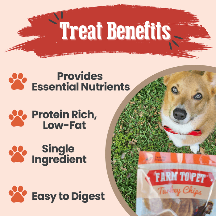 Turkey Chips Snack Pack Bundles | Low Allergen Treats for TrainingDog TreatsFound My Animal6 Pack