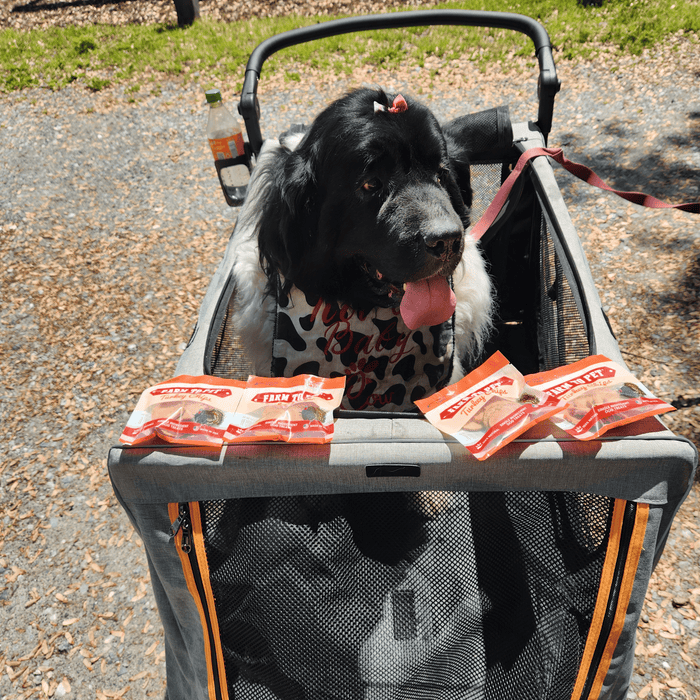 Turkey Chips Snack Pack Bundles | Low Allergen Treats for TrainingDog TreatsFound My Animal6 Pack
