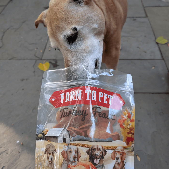 Turkey Feast ChipsDog TreatsFound My Animal