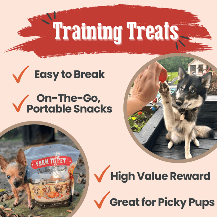 Turkey Feast ChipsDog TreatsFound My Animal