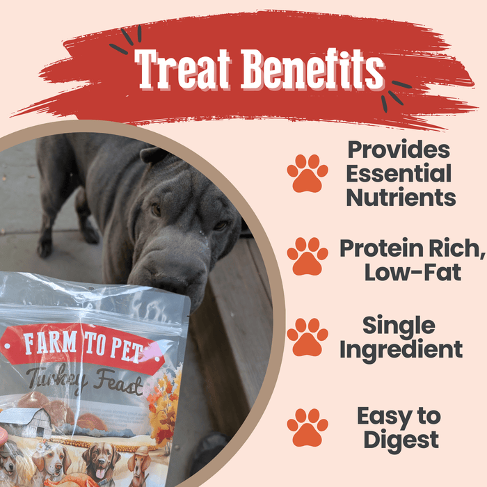 Turkey Feast ChipsDog TreatsFound My Animal