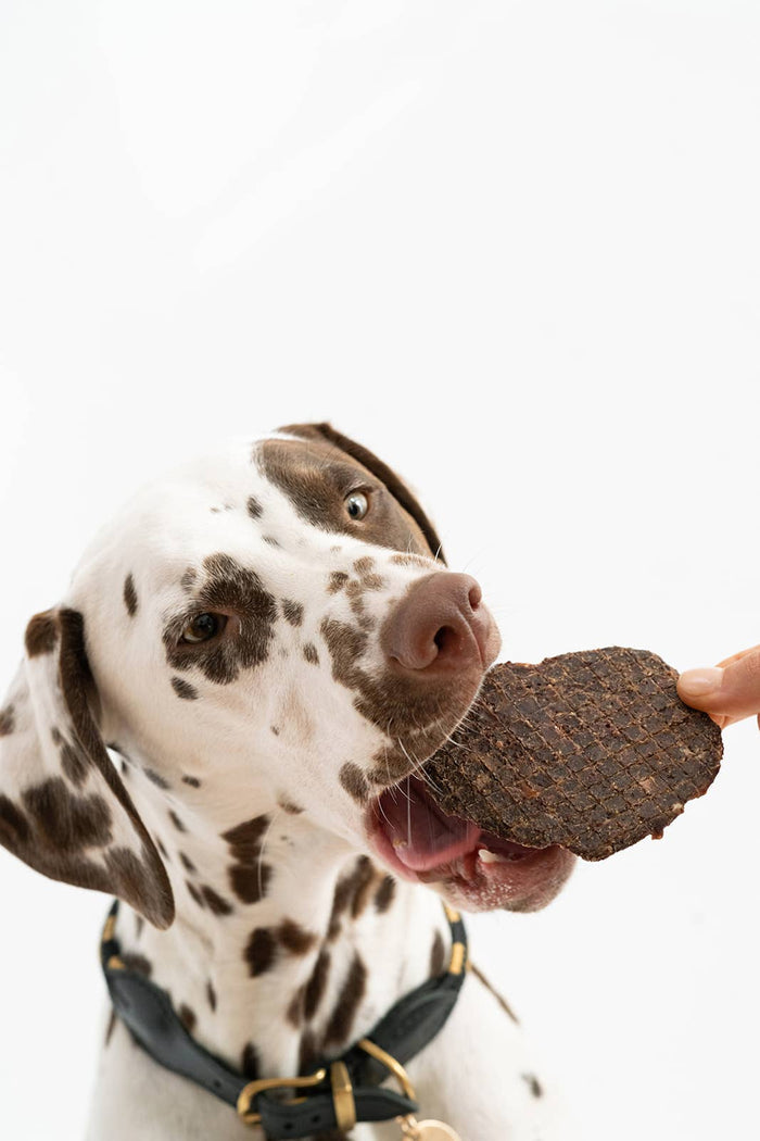 Turmeric Bison Jerky - Winnie Lou - The Canine CompanyDog TreatsFound My Animal