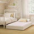Warm White